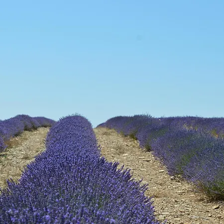 Abadias Bed and Breakfast San Felices de los Gallegos