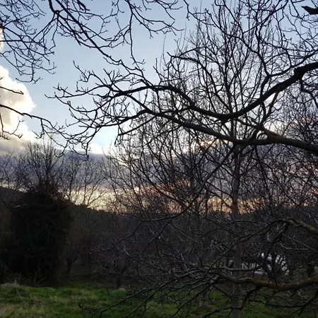 Abadias Bed and Breakfast