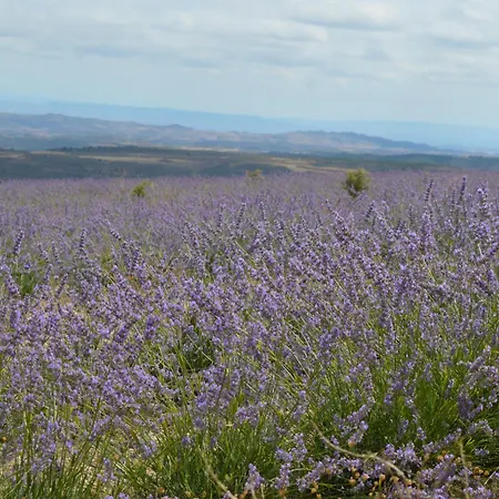 Abadias Bed and Breakfast San Felices de los Gallegos