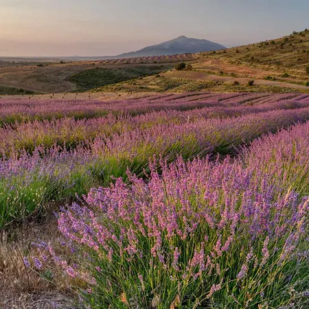 Abadias San Felices de los Gallegos