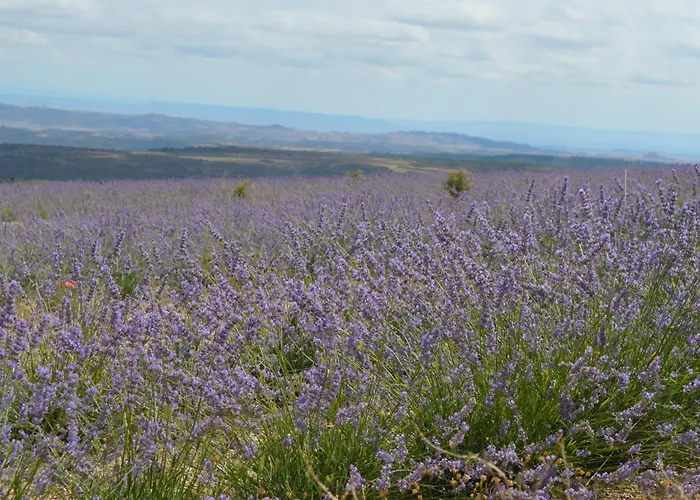 Abadías Bed and breakfast San Felices de los Gallegos