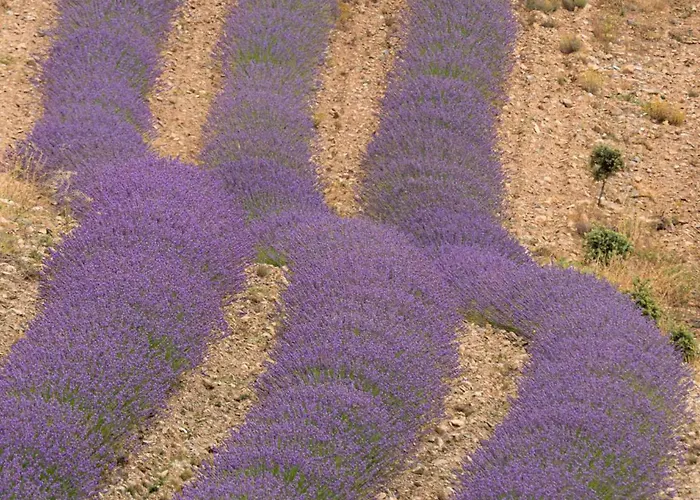 Abadías Bed and breakfast