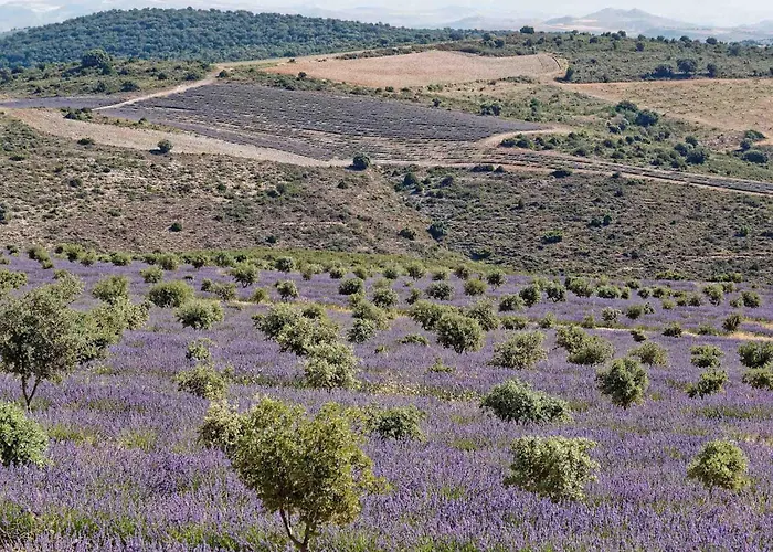Abadías Bed and breakfast *