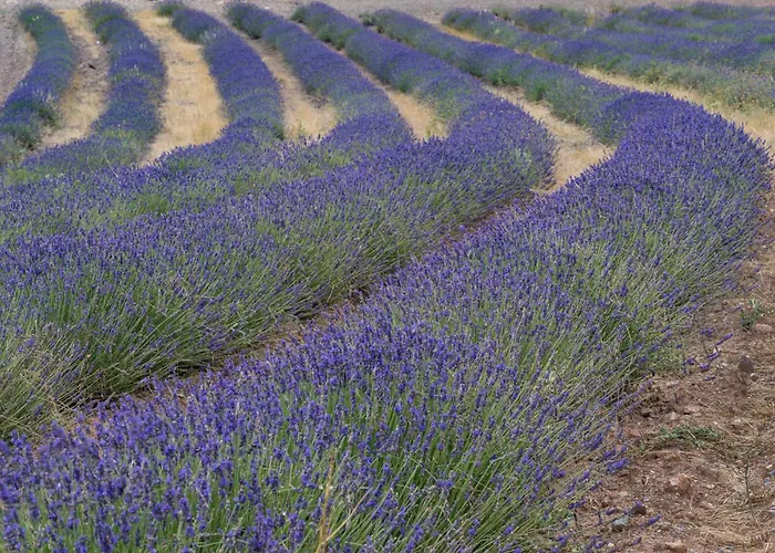 Abadías Bed and breakfast